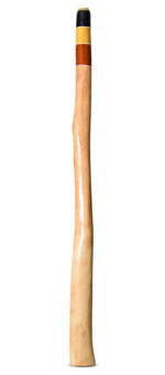 Earl Clements Flared Didgeridoo (EC388)